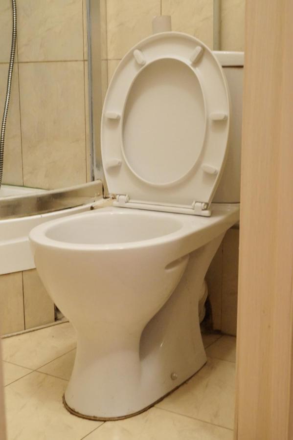 Apartment Triokhsviatytelskaya Street 3 キエフ エクステリア 写真